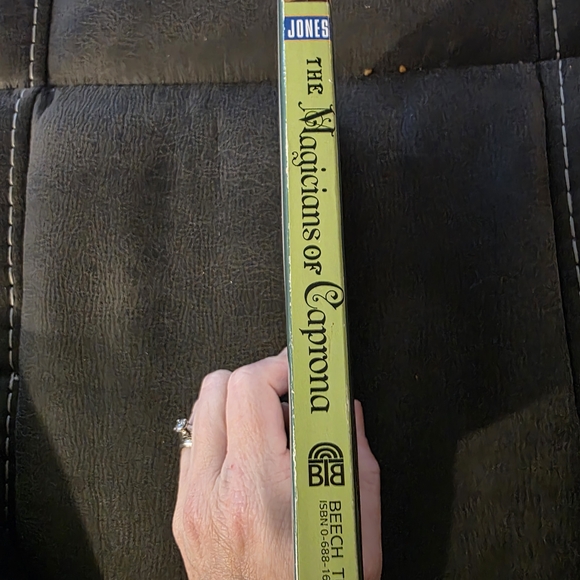 The Magicians of Caprona by Diana Wynne Jones - Picture 2 of 4